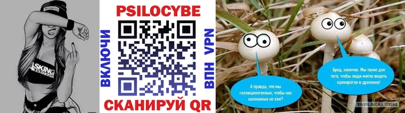 Псилоцибиновые грибы Psilocybe  как найти   Алейск 