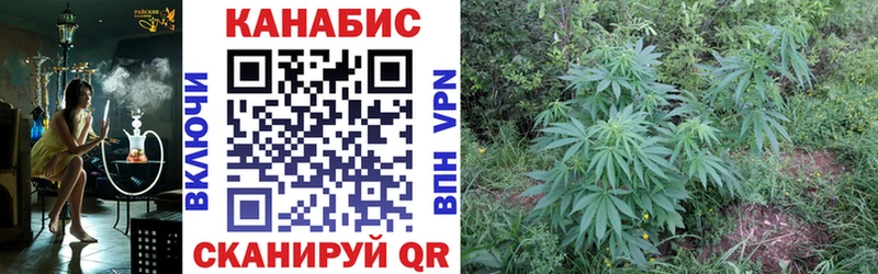 где можно купить наркотик  МЕГА ССЫЛКА  Бошки марихуана AK-47  Алейск 